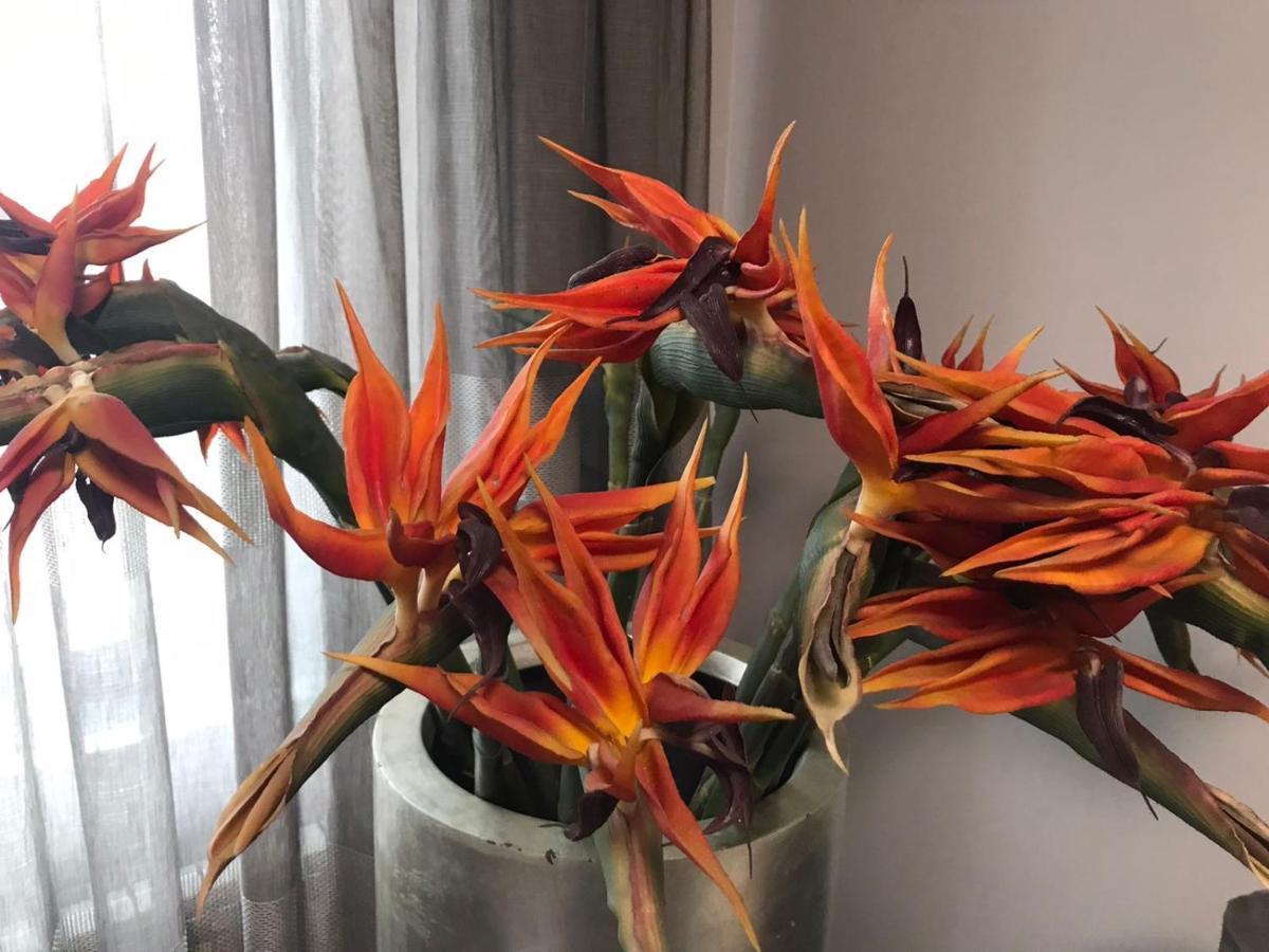 Apartment The Orchid 소피아 외부 사진
